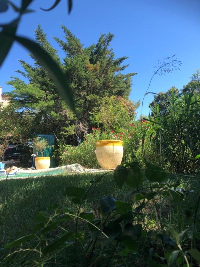 Villeneuve-lès-Avignon B&B Oasis Des Lavandes - Chambre Coqueliot מראה חיצוני תמונה