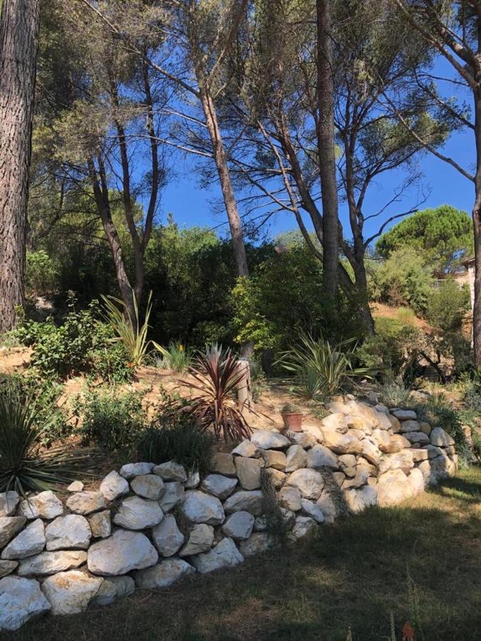 Villeneuve-lès-Avignon B&B Oasis Des Lavandes - Chambre Coqueliot מראה חיצוני תמונה
